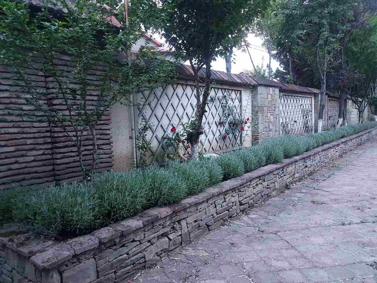Rare House With Garden Villa Tbilisi Luaran gambar